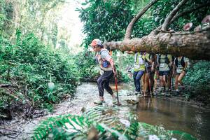 BIB: 
                            <button type="button" onclick="openModal(25468669)" class="btn btn-primary btn-sm float-right btn-popup" data-toggle="modal" data-target=".modal-high-quality">
                        <i class="fas fa-shopping-cart"></i> Add to Cart
                    </button>
                                            <button type="button" onclick="isThisMe(25468669, true)" class="btn btn-success btn-sm float-right btn-popup btn-isme hidden" data-toggle="tooltip" data-placement="bottom" title="นี่คือรูปของคุณใช่ไหม คลิกที่นี่เพื่อเอาเข้าอัลบั้ม">
                        <i class="fas fa-plus"></i> Add to album
                    </button>
                    <button type="button" onclick="isThisMe(25468669, false)" class="btn btn-warning btn-sm float-right btn-popup btn-isnotme hidden">
                        <i class="fas fa-ban"></i> Remove from album
                    </button>